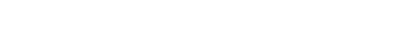Wiener_Netze_4C_RGB (1)